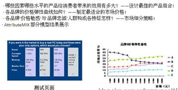 数字100市场研究公司的新产品测试服务内容