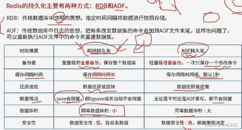 Web服务器架构设计与数字内容制作服务学习笔记